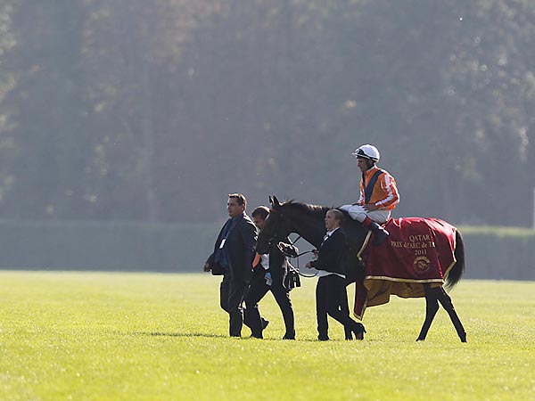 Danedream siegt unter Andasch Starke Qatar Prix de l'Arc de Triomphe